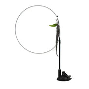 Interactive Suction Cup Cat Toy — Hands Free Feather Bird Wand for Cats & Kittens